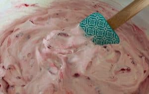 Raspberry-Cheesecake-Dessert-Salad-MIx-View