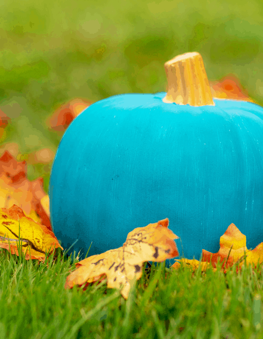 Teal Pumpkins & Non-Food Halloween Treats