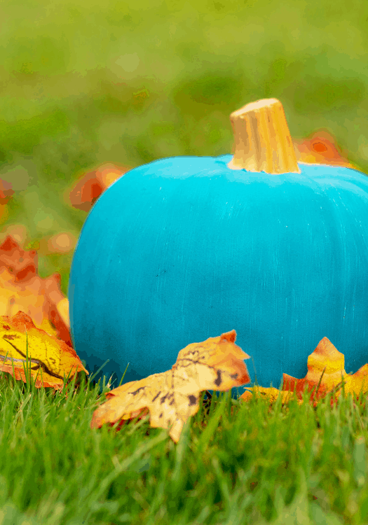 Teal Pumpkins & Non-Food Halloween Treats | Tealmama Do you know the significance of teal pumpkins? Find out here along with a list of ideas for non-food treats to give out to trick-or-treaters on Halloween.