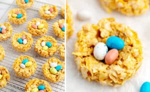 Nest Treats on Wire Rack (Left) Closeup of Treat (Right)