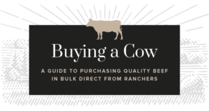 Buying-a-Cow-a-Guide-to-Purchasing-Quality-Beef-in-Bulk-Direct-from-Ranchers-1