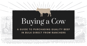 Buying-a-Cow-a-Guide-to-Purchasing-Quality-Beef-in-Bulk-Direct-from-Ranchers