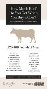 Buying-a-Cow_Pinterest4