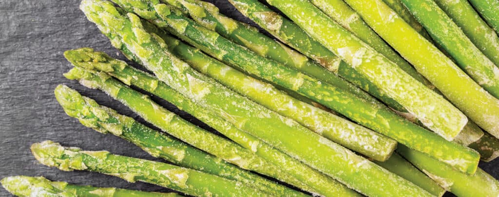 Asparagus Spears on a Grey Countertop