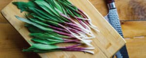 Bundle of Ramps on Light Wooden Surface