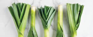 Five Leeks Alternating on White Marble Countertop, Shallot Substitute Option