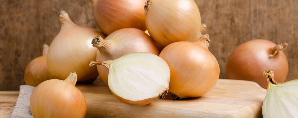 10 Shallot Substitutes That'll Make Your Life Simpler