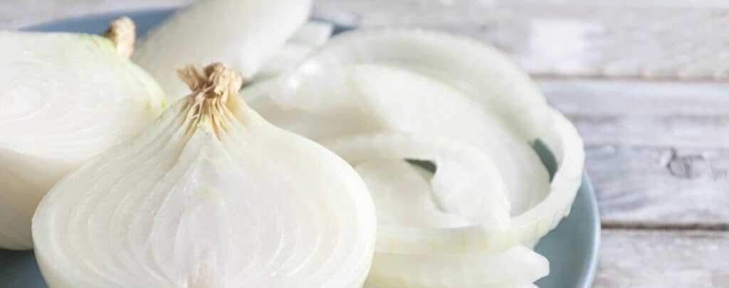 The 10 Best Substitutes For Shallots - MAY EIGHTY FIVE