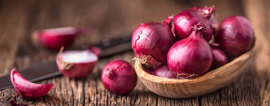 Substitute onion for shallot, but scallions are a little trickier