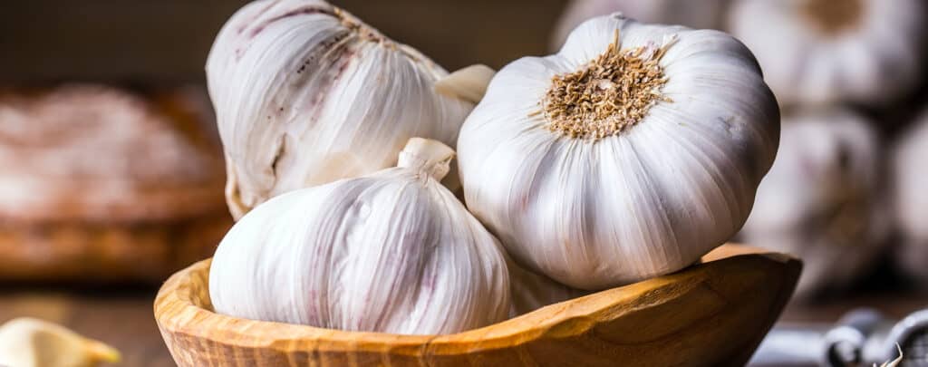 Whole Garlic Bundles in a Bowl