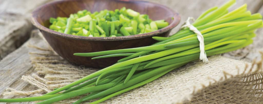 Chives in a Bundle and Chopped in a Bowl on a Wooden Surface