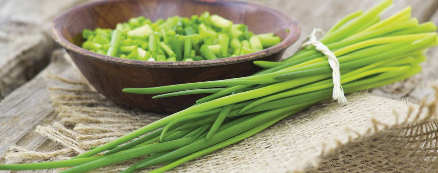 16 Tasty Shallot Substitute Options Northern Yum