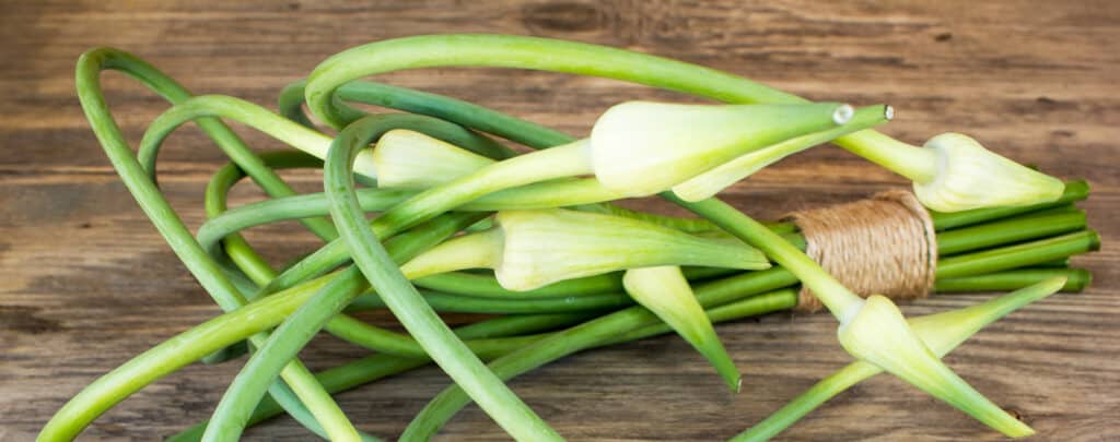Garlic Scapes on a Wooden Surface
