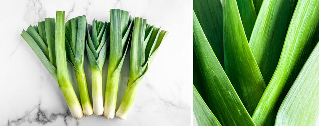 Leeks (left) Close Up of Leeks (right)