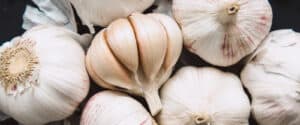 Bulbs of Garlic