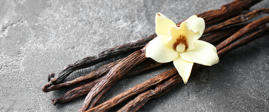 Vanilla Orchid on top of Vanilla Beans