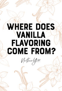 Where Does Vanilla Flavoring Come From - Pin 1