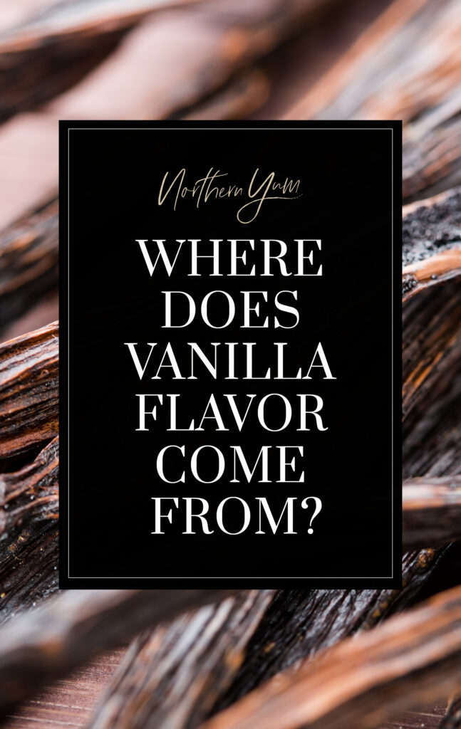 Where Does Vanilla Flavoring Come From - Pin 2