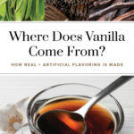 Where Does Vanilla Flavoring Come From - Pin 3