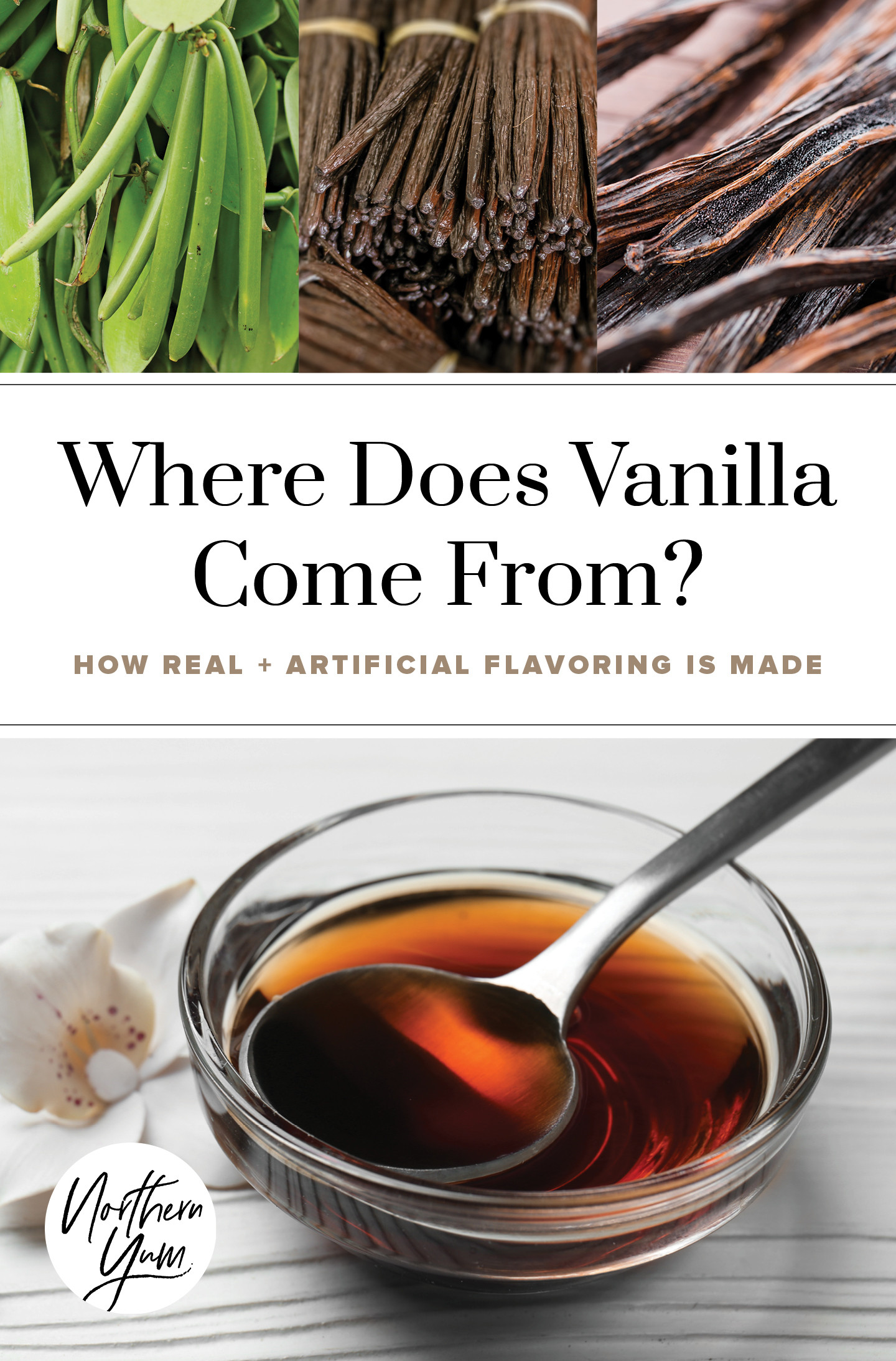 whwre does vanilla flavoring come from