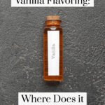 Where Does Vanilla Flavoring Come From - Pin 4