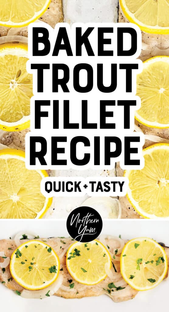 Baked Trout Fillet Pin