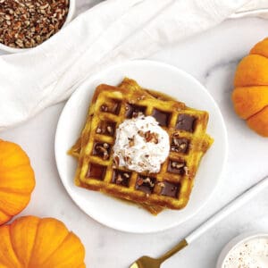 Easy Pumpkin Waffle IG