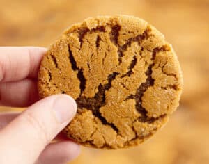 Close Up of Molasses Cookie