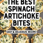 Spinach Artichoke Cups Pin 3