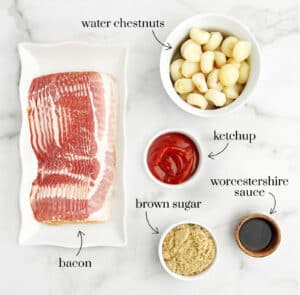 Bacon, Water Chestnuts, Ketchup, Brown Sugar, Worcestershire in Bowls or Plates on White Marble Surface