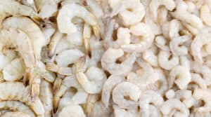 Various Shrimp Sizes - Jumbo, Large, Medium, Snall