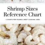 Shrimp Sizes Reference Chart Pin 1