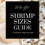 Shrimp Size Guide Pin 2