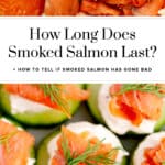 How Long Does Smoked Salmon Last Pin 2