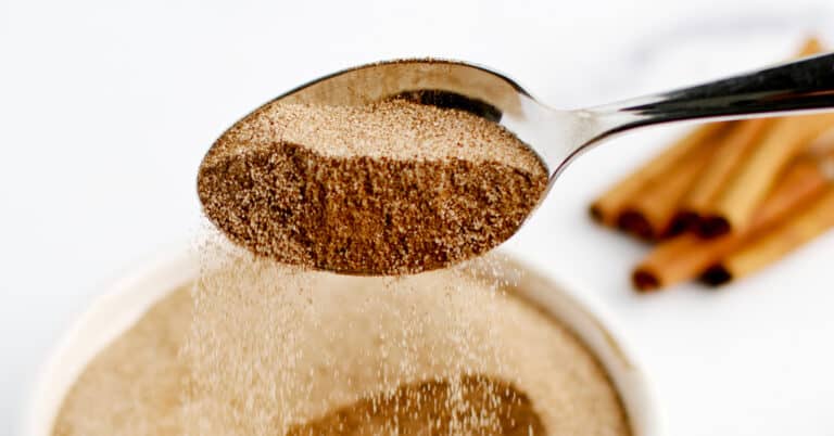 Cinnamon Sugar in White Bowl with Spoon