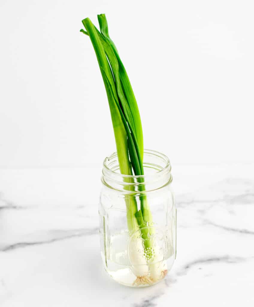 Store Green Onion in Mason Jar with Water