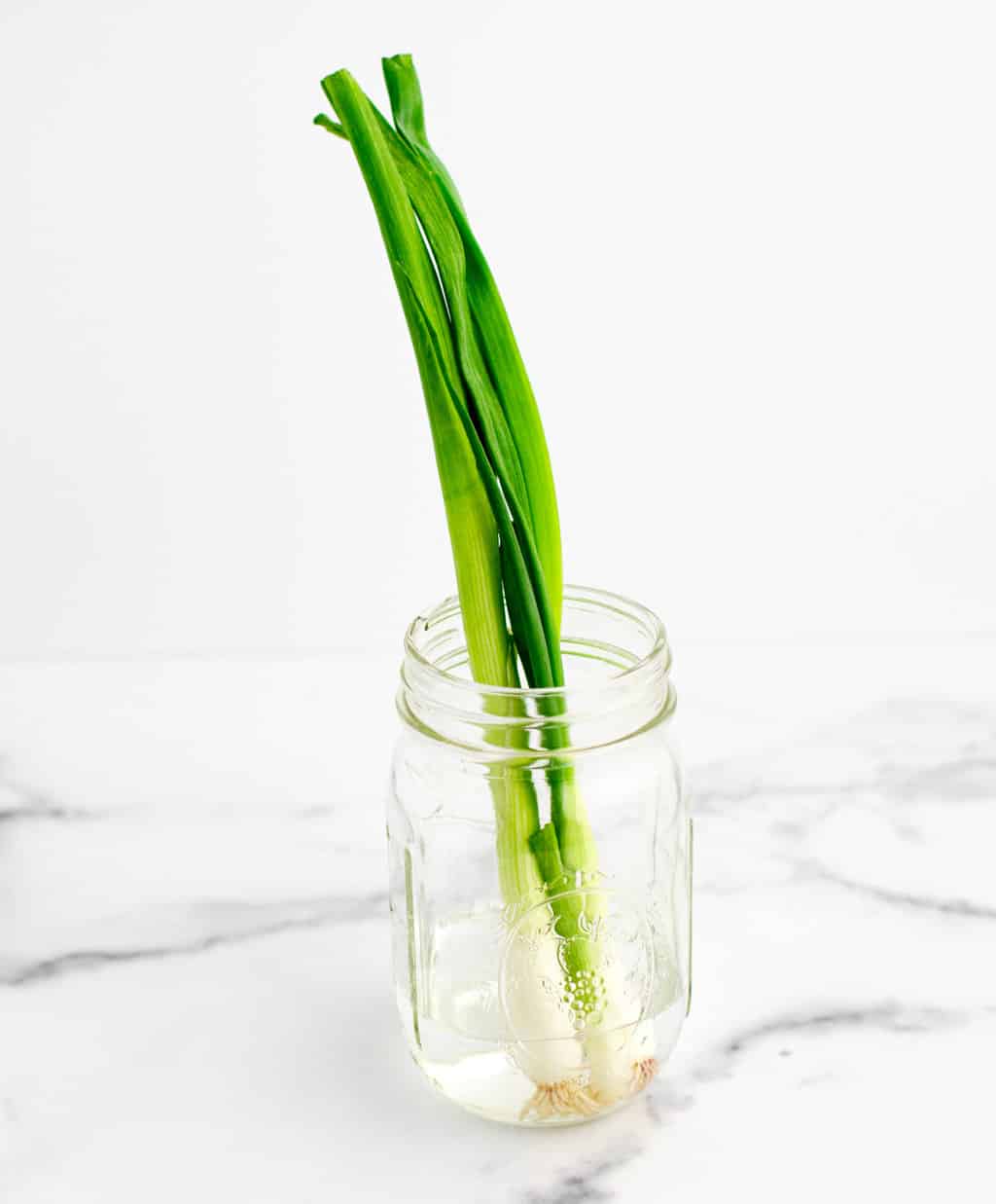 How to Cut Green Onions An Easy Guide (+Many Uses!)