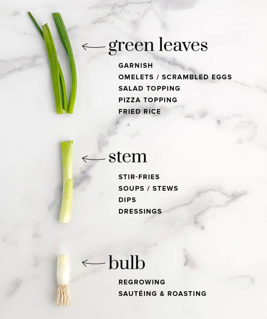 Parts of Green Onion and Common Uses