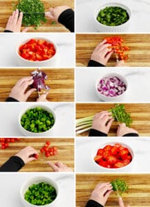 Chopping Veggies Cilantro, Red Pepper, Red Onion, Green Onion, Cherry Tomatoes, Jalapeno