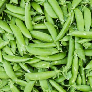 Crunchy-Salad-Toppings_Slide-Image12