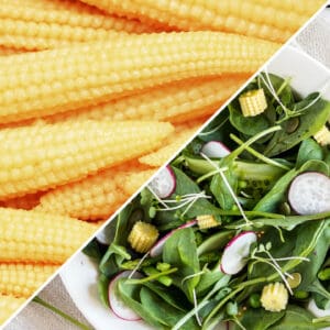Crunchy-Salad-Toppings_Slide-Image9