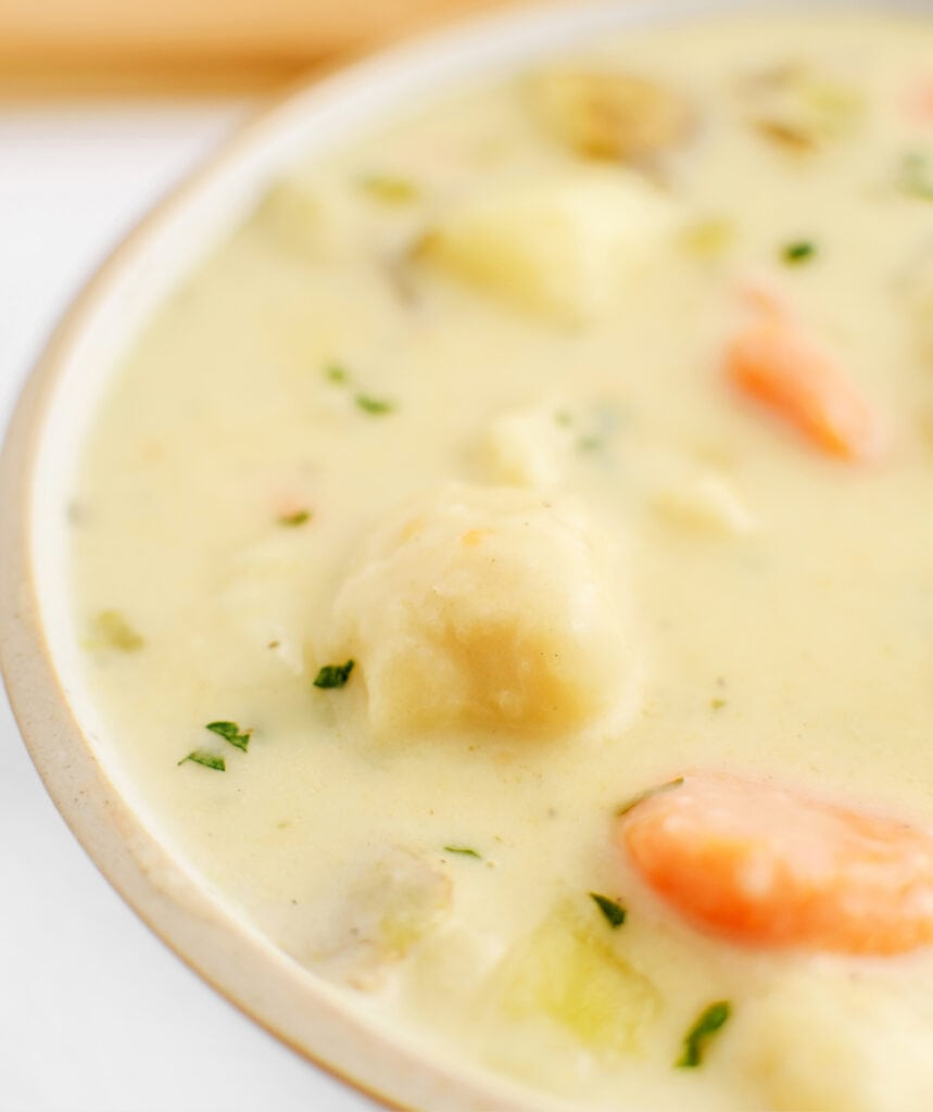 Closeup of Soup with Knoephla Noodles