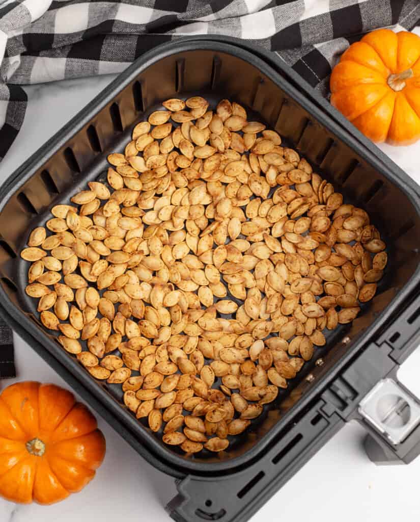 Top View of Roasted Pumpkin Seeds in Air Fryer Basket with Pumpkins and Towel in Background