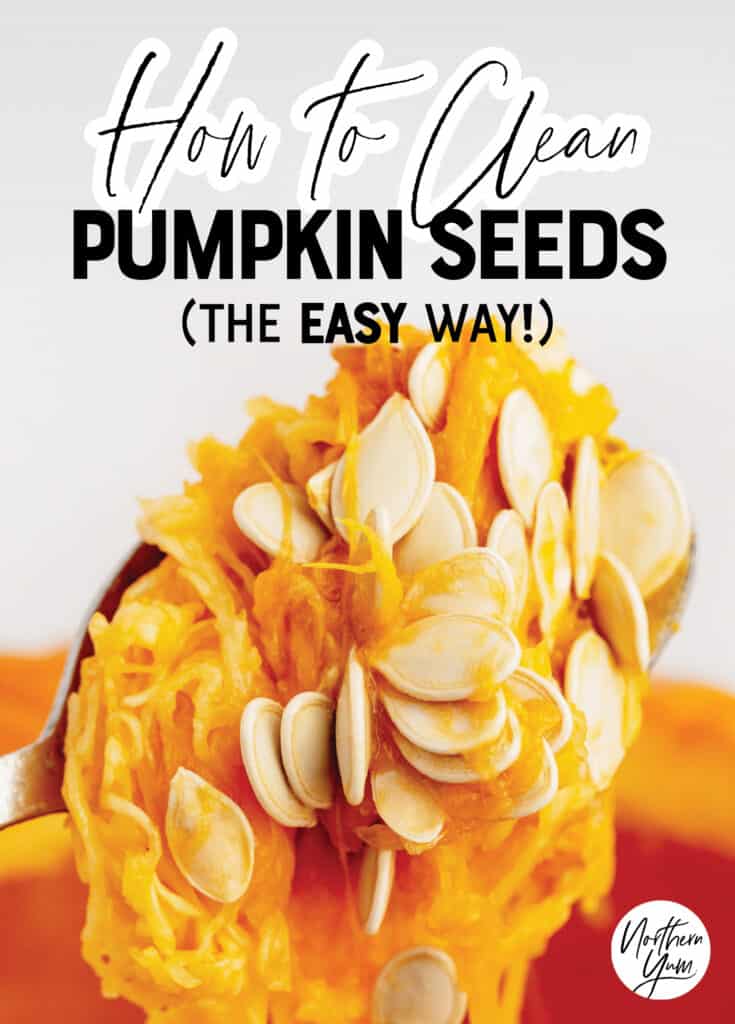 How to Clean Pumpkin Seeds Pin 1