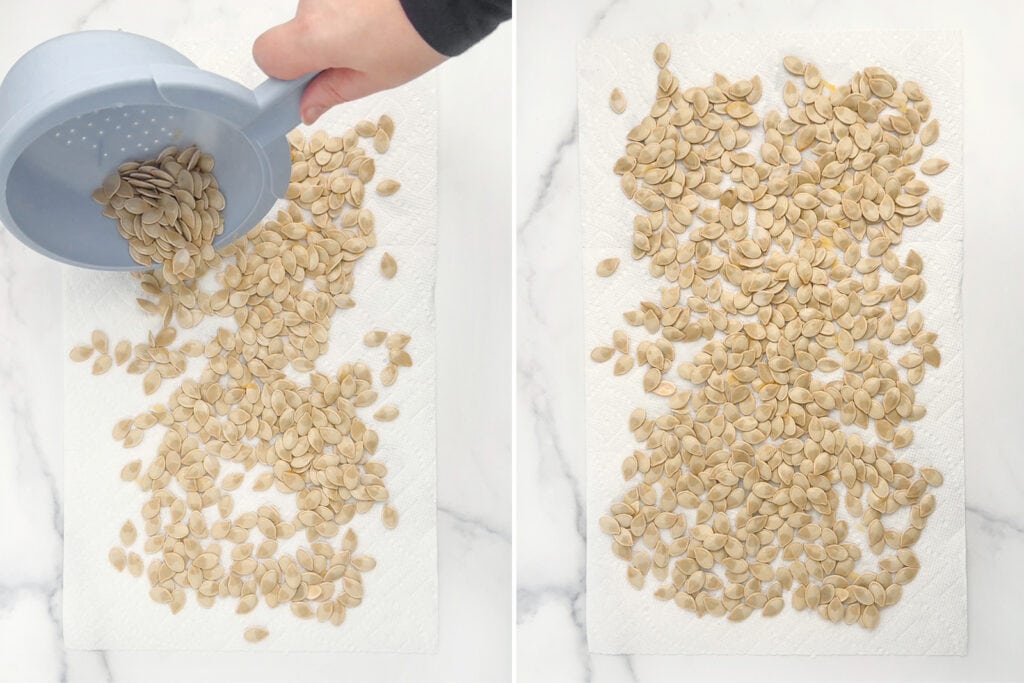 Pouring Wet Pumpkin Seeds on Paper Towel to Dry