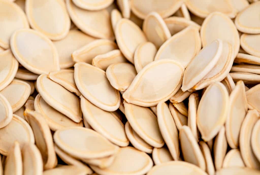 Closeup of Clean Pumpkin Seeds