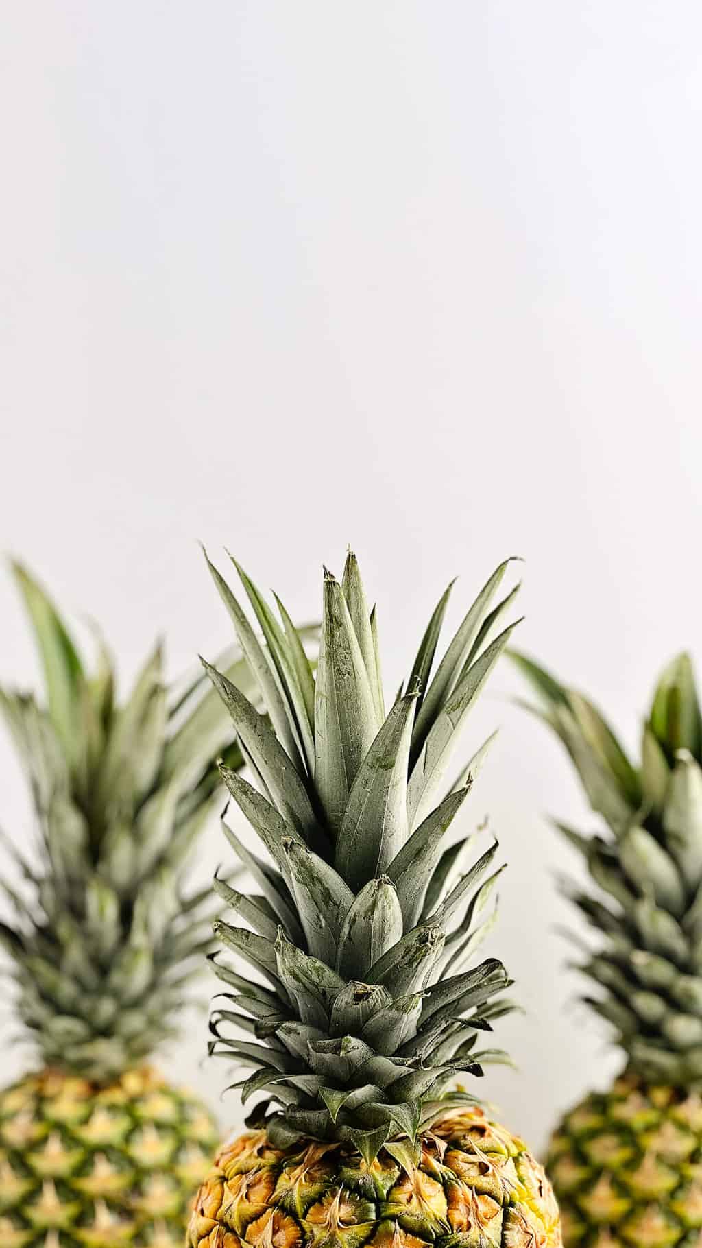 HowtoCutPineappleRings_SlideImage8 Northern Yum