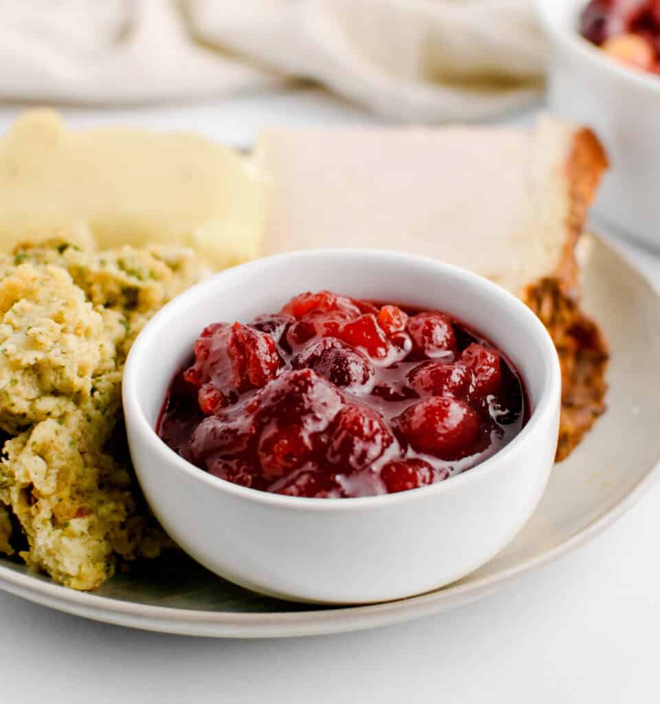 Cranberry Sauce in Cup with Turkey and Fixings