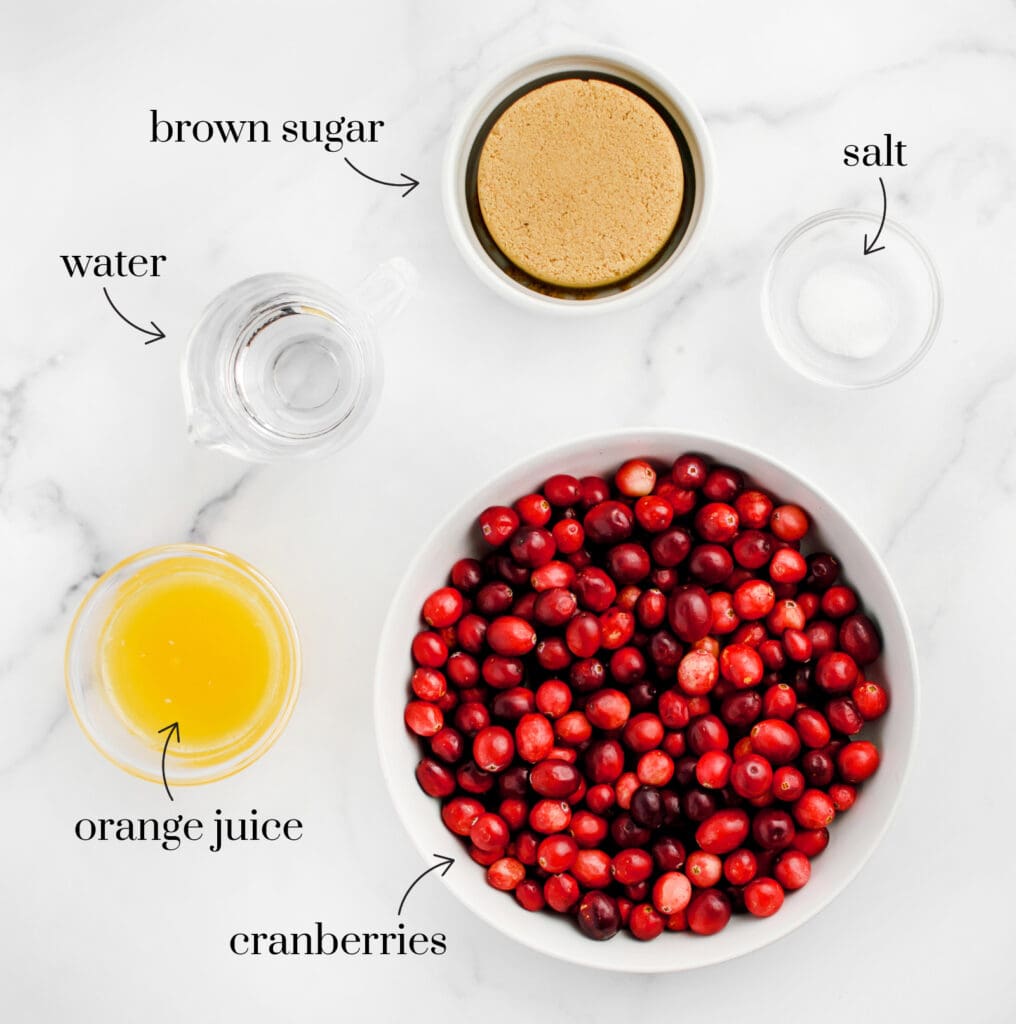 Cranberries, Water, Orange Juice, Brown Sugar, and Salt in Bowls on White Marble Countertop