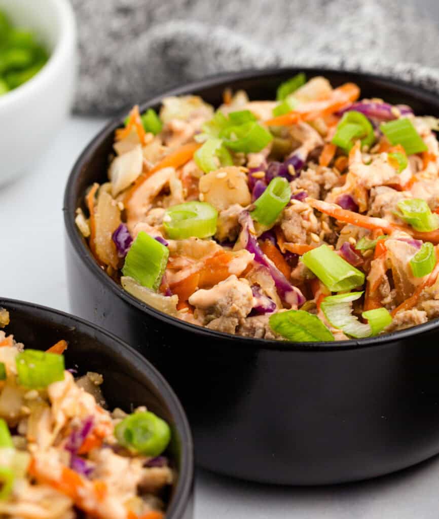 Egg Roll in a Bowl Side View